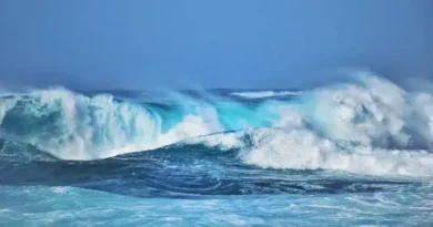 dalgali deniz tokathaber