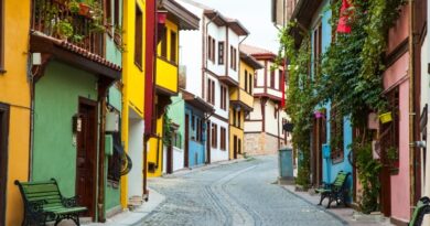 eskisehir odunpazari evleri