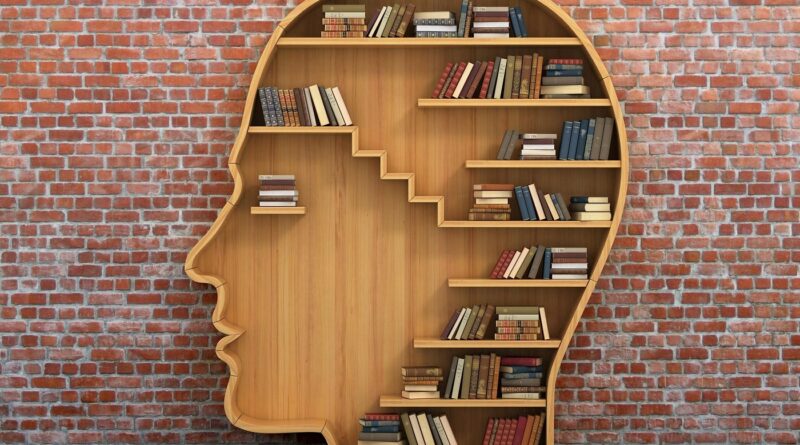 Kitap Ağrı Kesici midir?