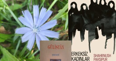 Gün Evini