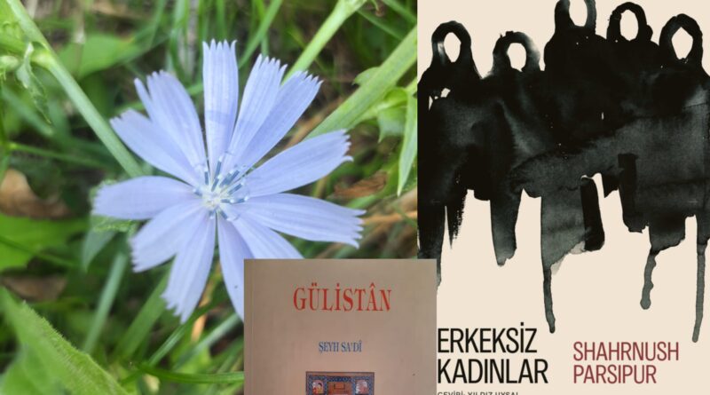 Gün Evini